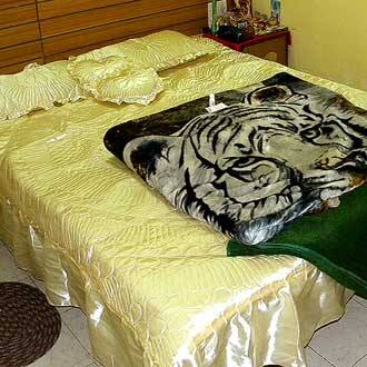 Hotel Safari, Jalpaiguri 5